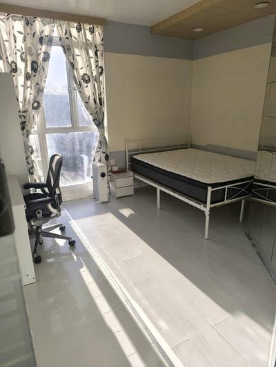 2 Large Double Rooms for Rent in Paddington  Main Photo